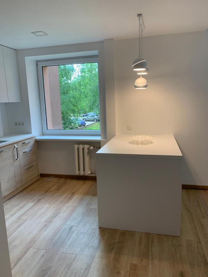 Alytus Apartament 外观 照片