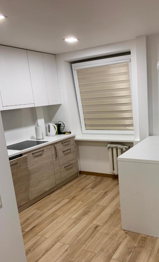 Alytus Apartament 外观 照片