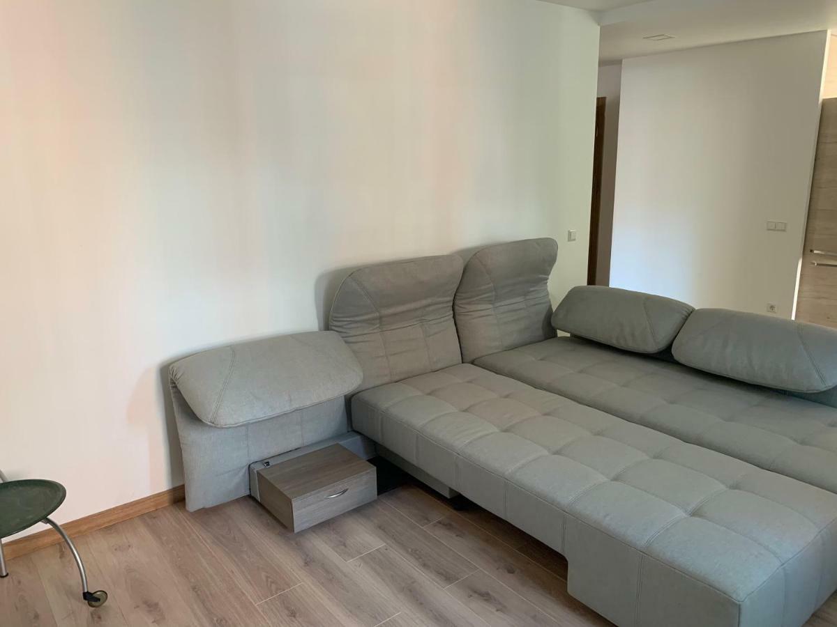 Alytus Apartament 外观 照片