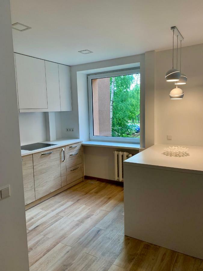 Alytus Apartament 外观 照片